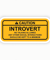 Highfive 3x3 inches CAUTION INTROVERT Sticker Self adhesive